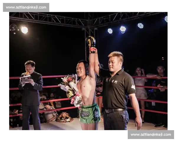 裁判争议：联赛杯裁判判罚引热议，公平竞赛何在