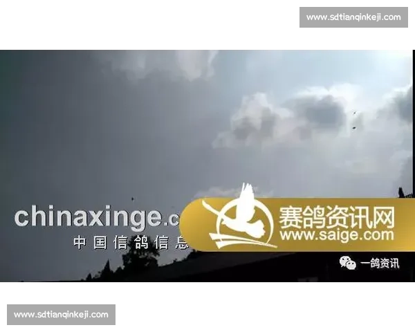风雨无阻！F1正赛直播，恶劣天气下的生死时速！